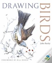 Drawing Birds