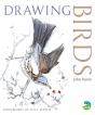 Drawing Birds - Preview