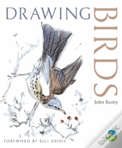 Capa do artigo Drawing Birds
