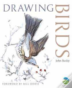 Capa do artigo Drawing Birds