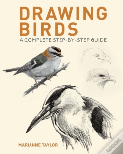 Capa do artigo Drawing Birds