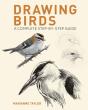 Drawing Birds - Preview