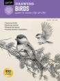Drawing: Birds - Preview