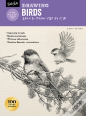 Drawing: Birds
