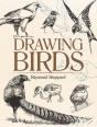 Drawing Birds - Preview