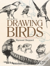 Capa do artigo Drawing Birds