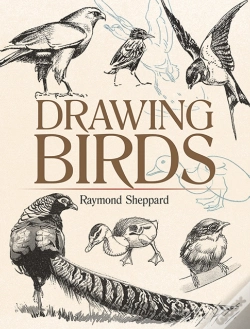 Capa do artigo Drawing Birds