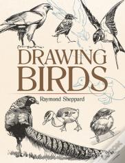Drawing Birds
