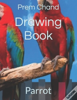 Capa do artigo Drawing Book