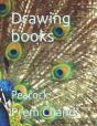 Drawing Books - Preview