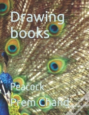 Capa do artigo Drawing Books