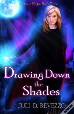 Capa do artigo Drawing Down The Shades
