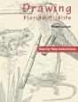 Drawing Florida Wildlife - Preview