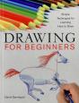 Drawing For Beginners - Preview