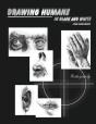Drawing Humans In Black And White - Preview