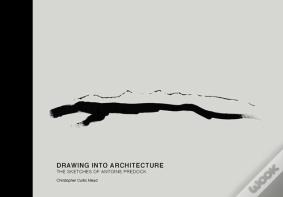 Drawing Into Architecture