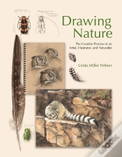 Capa do artigo Drawing Nature