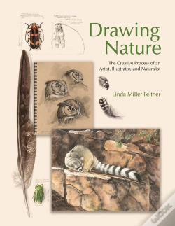 Capa do artigo Drawing Nature
