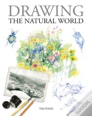 Drawing The Natural World