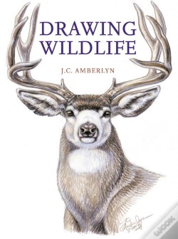 Capa do artigo Drawing Wildlife
