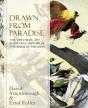 Drawn From Paradise - Preview