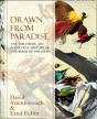 Drawn From Paradise - Preview