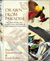 Capa do artigo Drawn From Paradise