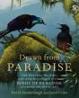 Drawn From Paradise - Preview