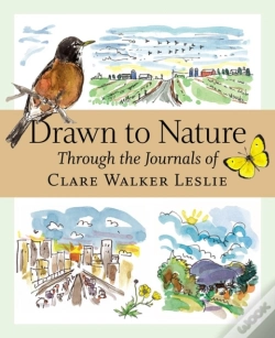 Capa do artigo Drawn To Nature
