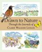 Drawn To Nature - Preview