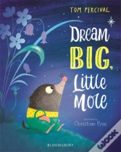 Capa do artigo Dream Big, Little Mole