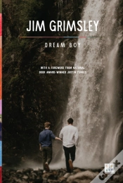 Capa do artigo Dream Boy