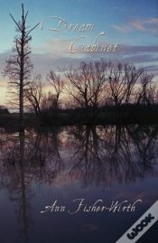Capa do artigo Dream Cabinet
