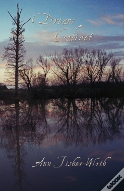 Capa do artigo Dream Cabinet