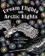 Dream Flights On Arctic Nights - Preview