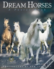 Capa do artigo Dream Horses Poster Book
