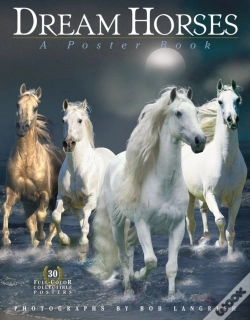 Capa do artigo Dream Horses Poster Book