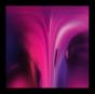 Dream House - Vinil - Preview
