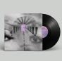 Dream in Dream - Vinil - Preview