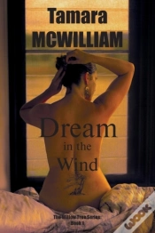 Capa do artigo Dream In The Wind