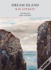 Capa do artigo Dream Island