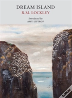 Capa do artigo Dream Island
