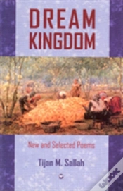 Capa do artigo Dream Kingdom