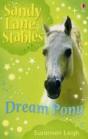 Dream Pony - Preview