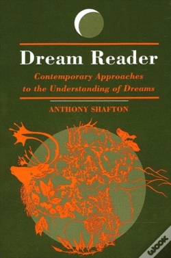 Capa do artigo Dream Reader