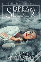 Capa do artigo Dream Seeker