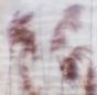 Dream Sequence - Vinil - Preview