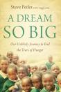 Dream So Big - Preview