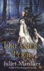 Dreamer'S Pool - Preview