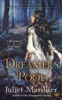 Dreamer'S Pool - Preview